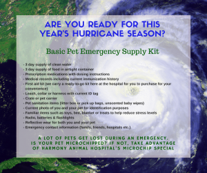 Hurricane Season 2015 (2)