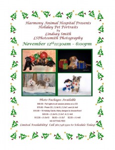 Holiday Pet Portraits handout