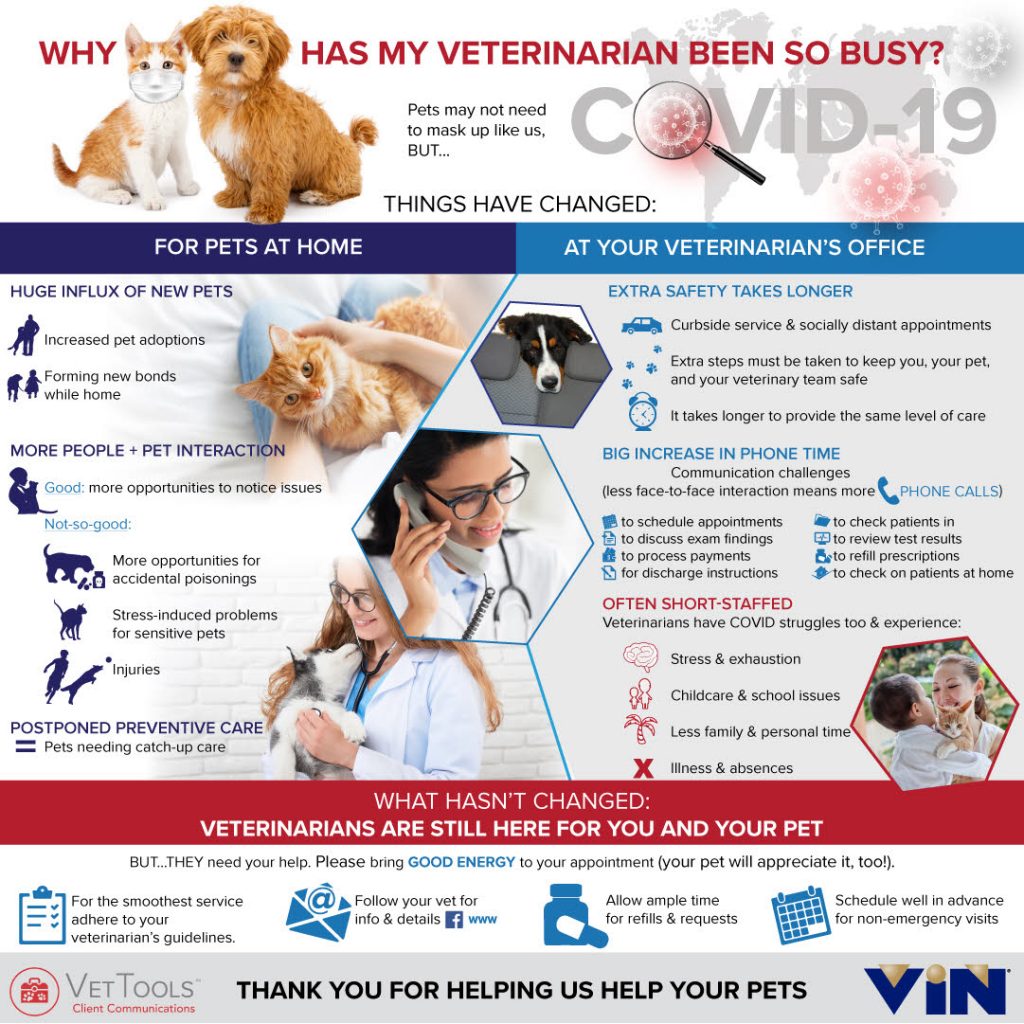 Why has my veterinarian been so busy?